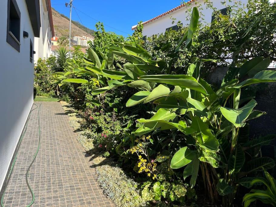 Moradia Com Piscina No Canico Exterior foto